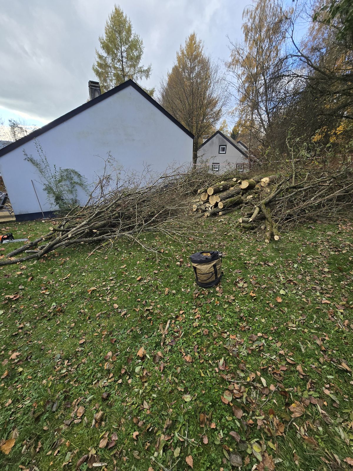 Après abattage — bois débité et empilé