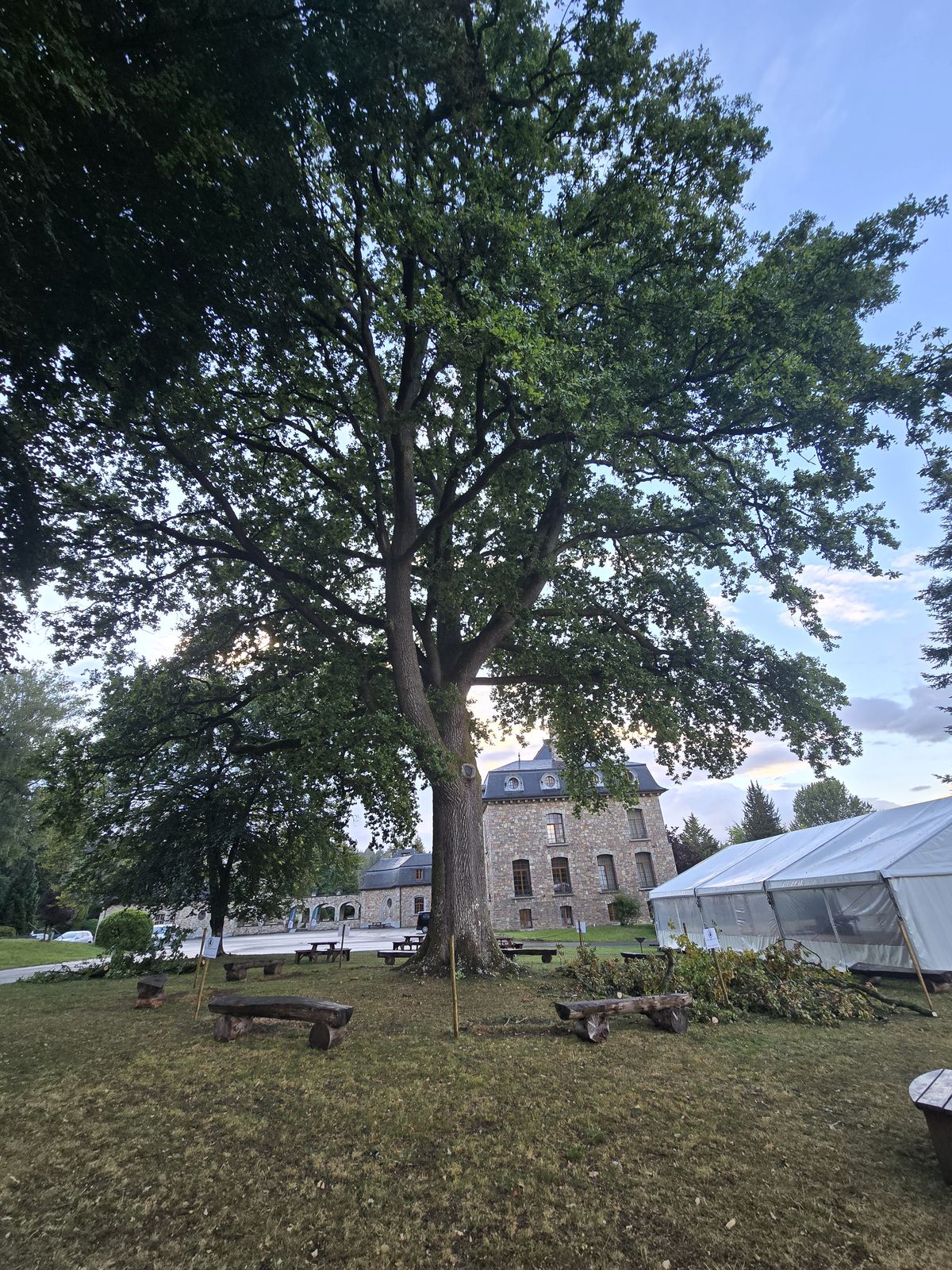 Arbre sécurisé, site prêt pour l'événement