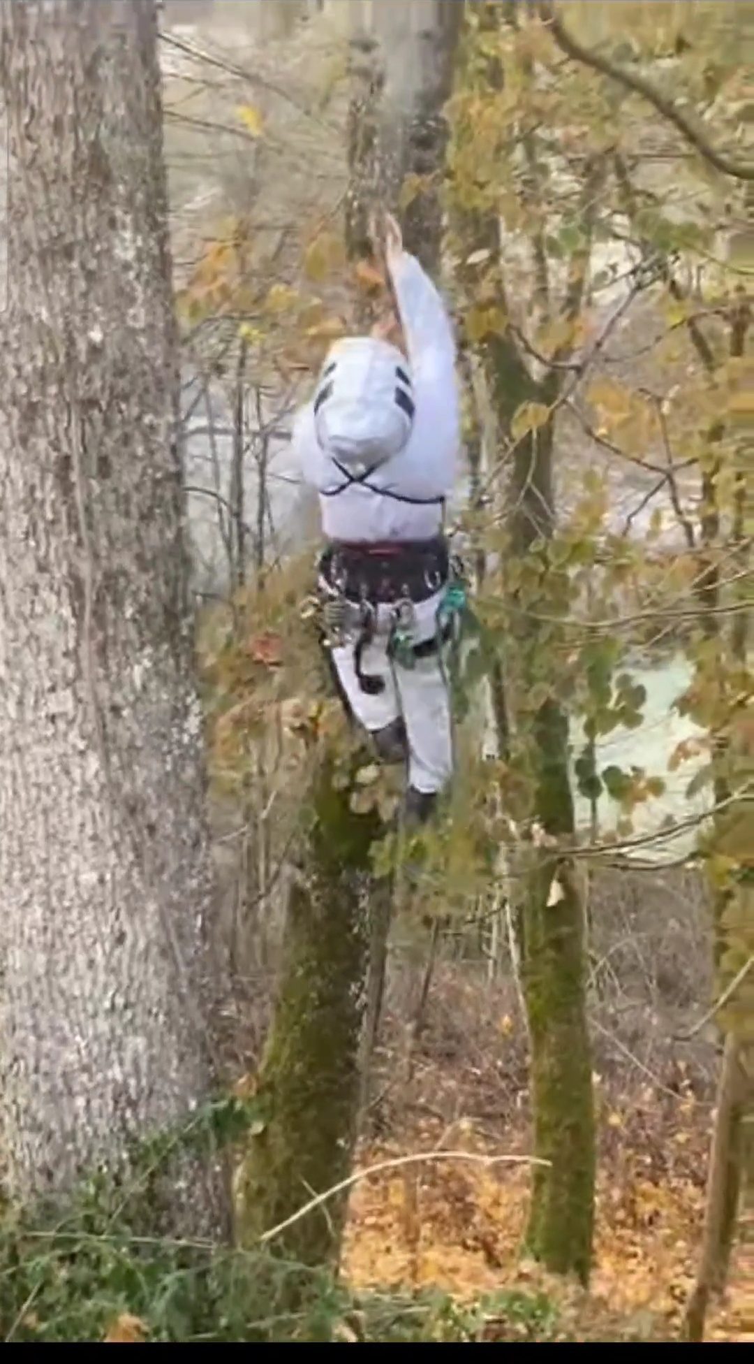 Intervention en combinaison intégrale, accès par grimpe à un nid de frelon
